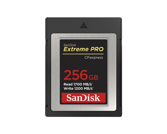 SanDisk CFexpress Typ-B ExtremePro 256GB